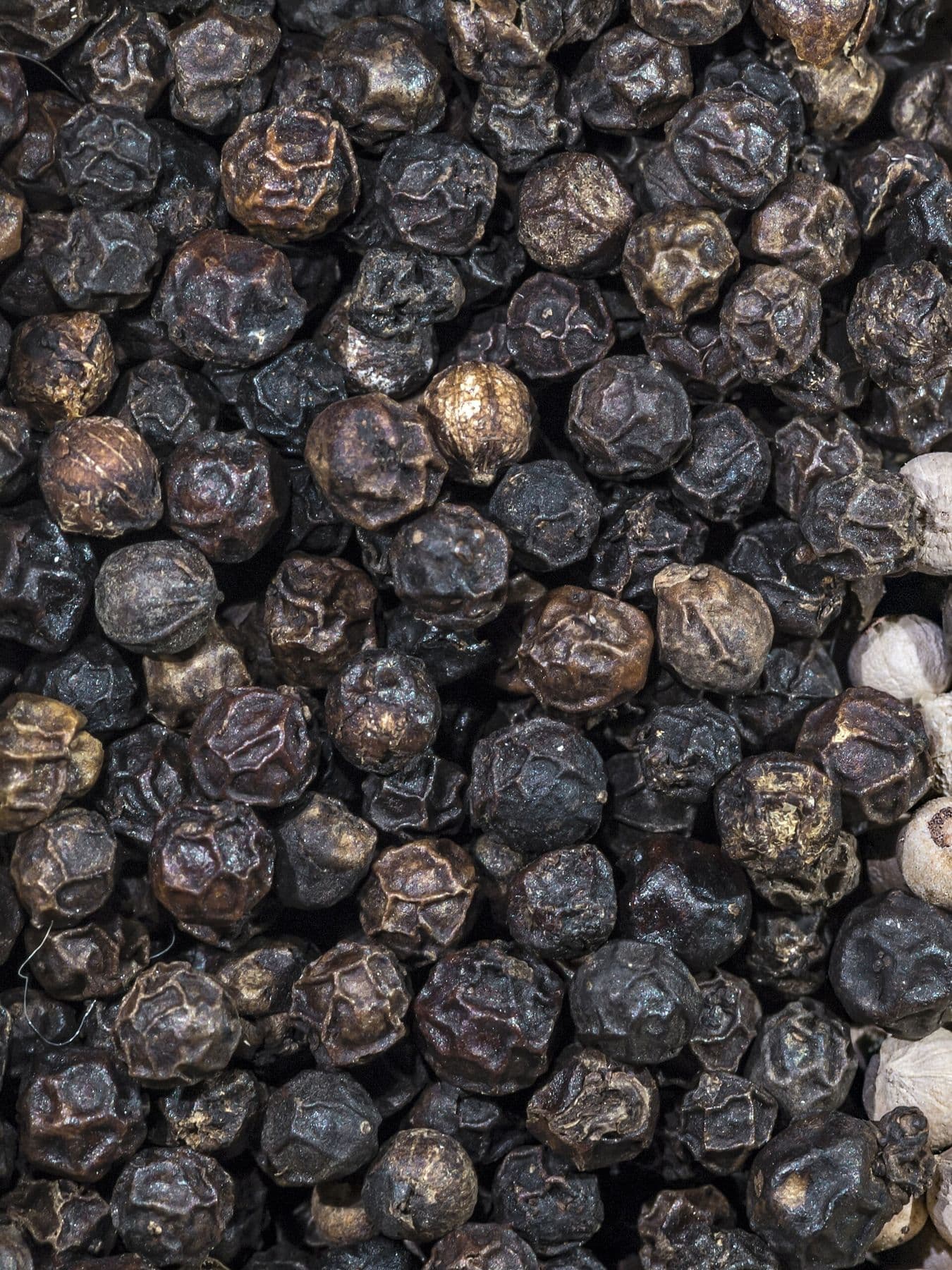 Close-up of dried black peppercorns