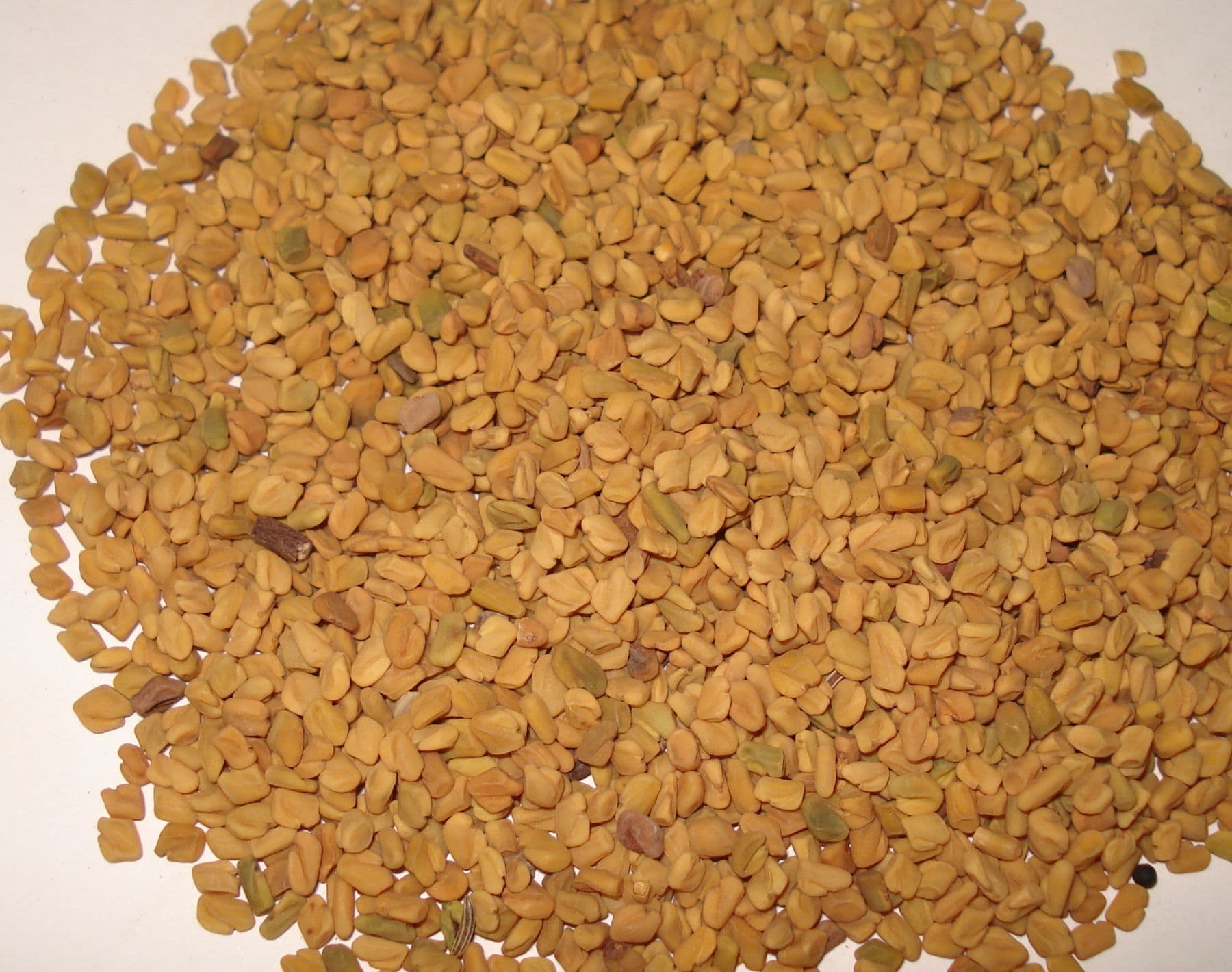 A pile of golden fenugreek seeds