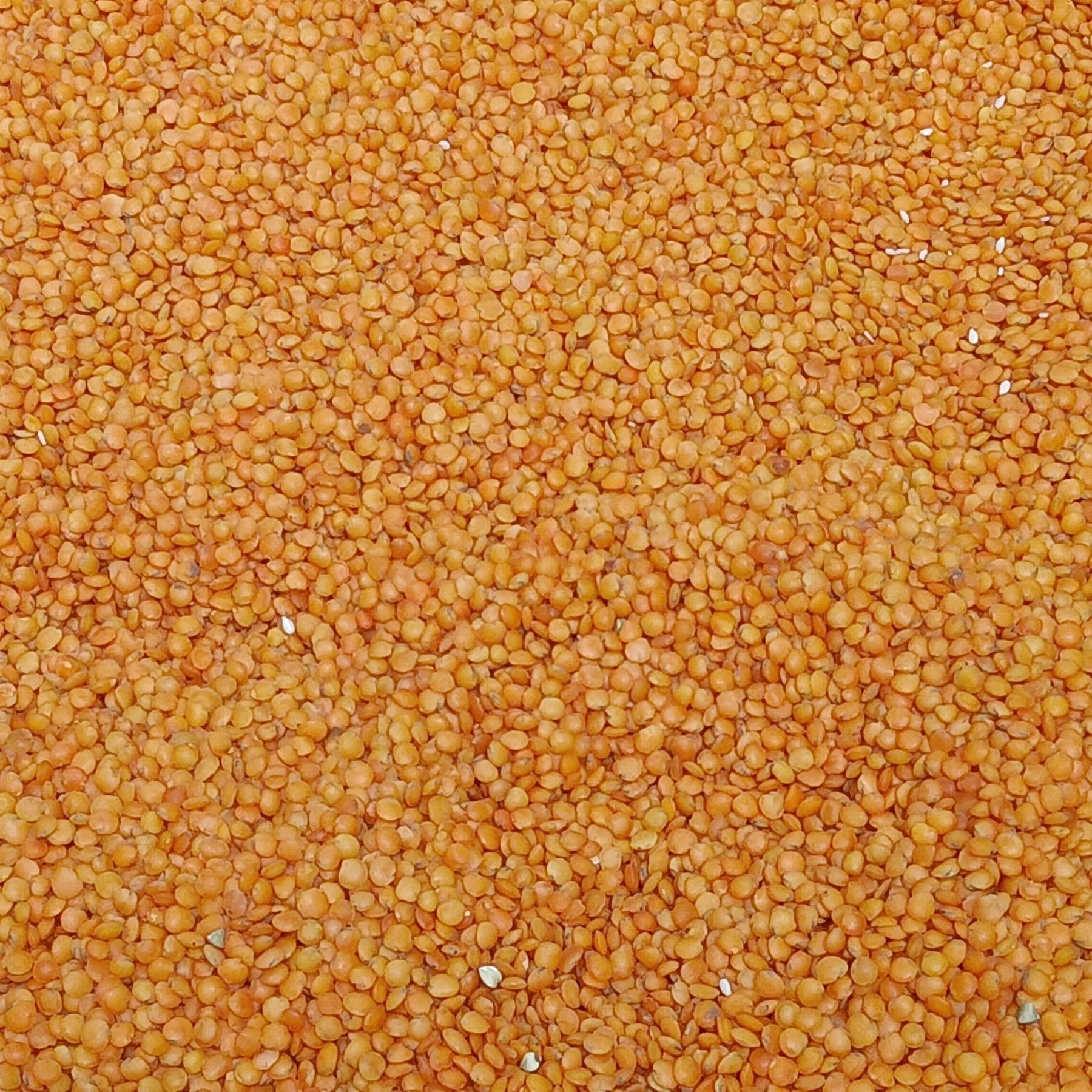 Close-up of split red masoor